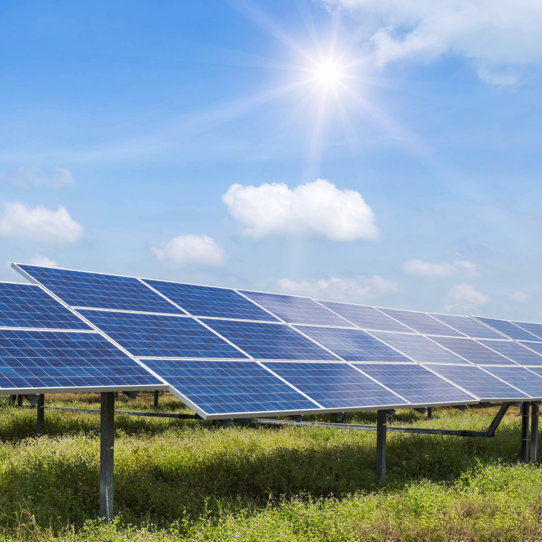 a line of solar panels on grass