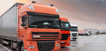Row of lorries parked at dusk in a yard